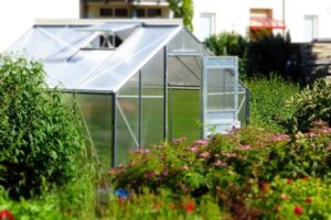 Best Glass Greenhouses