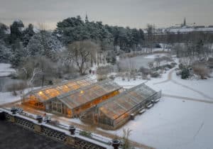 Do Greenhouses Stay Warm in Winter? 