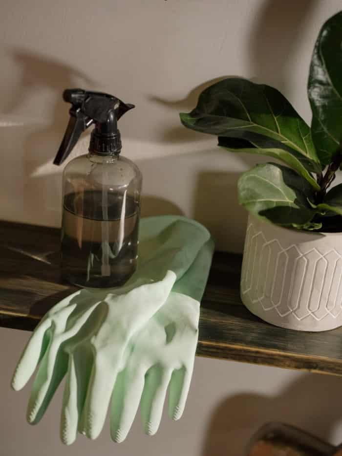 Spray Bottle and Gloves for Cleaning
