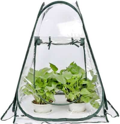 Mini Pop Up Greenhouse 