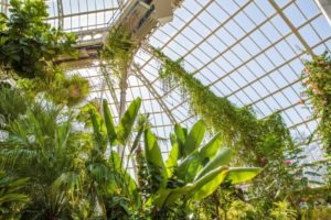 Plants Inside a Glass Greenhouse