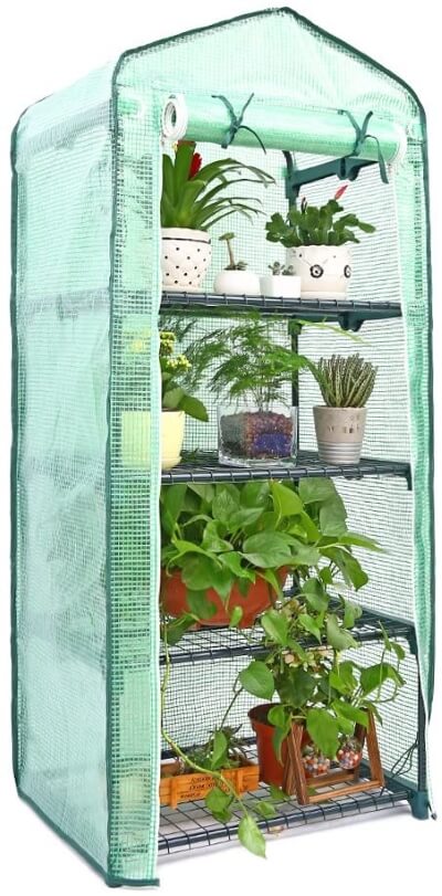 Indoor and Outdoor Mini Greenhouse
