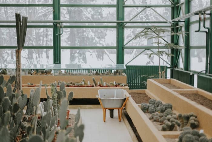 Arranged Plants Inside a Greenhouse
