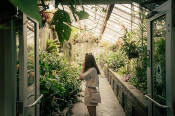 Woman Checking Plants on a Greenhouse