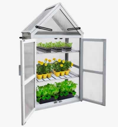 Mini Greenhouse with Plants